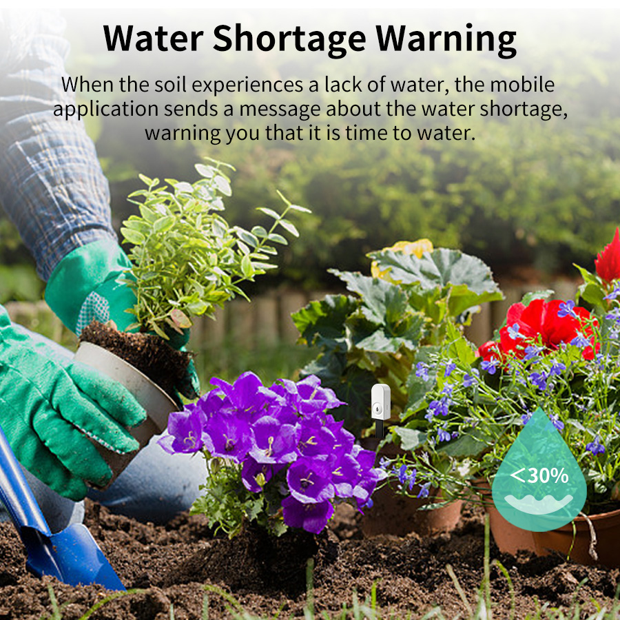 Smart ZigBee Soil Moisture Sen - App Smart Garden review and price