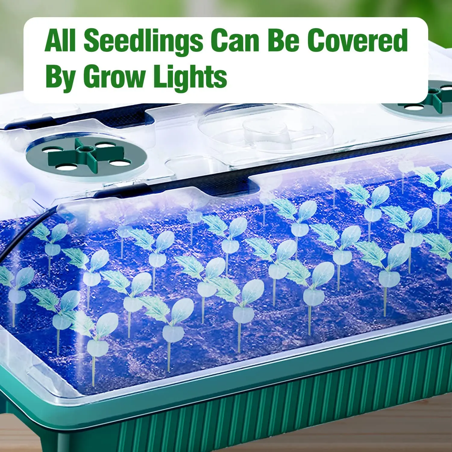 2 Packs, Seed Starter Trays Wi - Smart Garden Domes review and price