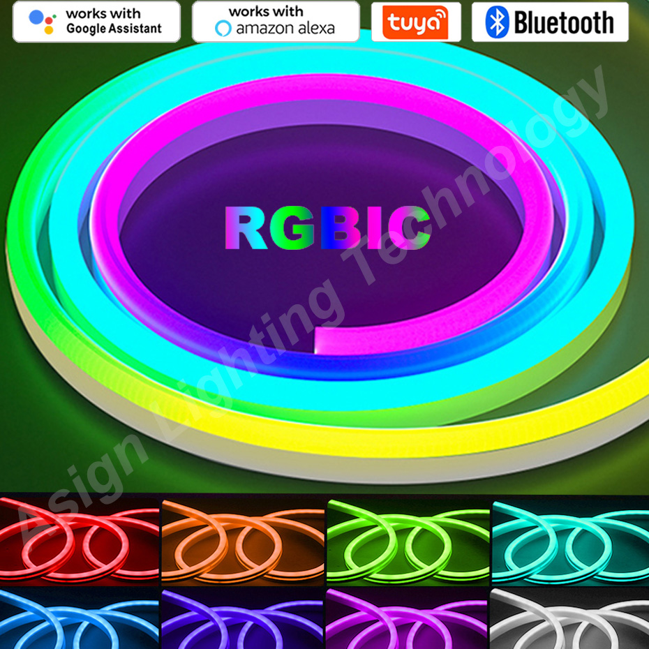 RGBIC LED Neon Strip 12V 96LED - App Smart Garden review and price