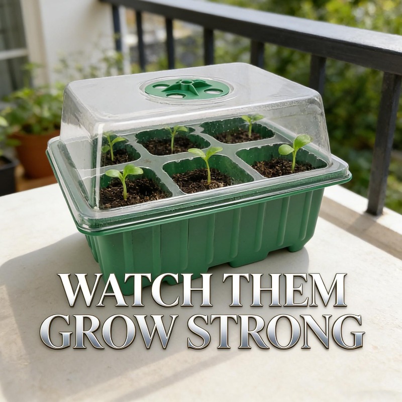 Seed Starter Tray with Lid 6 C - Smart Garden Domes review and price